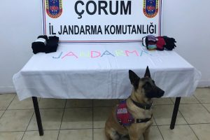 Jandarmadan zehir tacirine operasyon