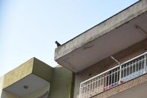 &Ccedil;atıda mahsur kalmıştı! 25 g&uuml;n&uuml;n sonunda...