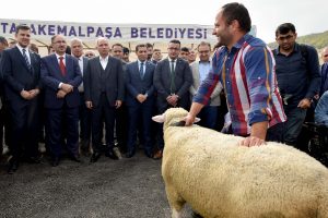 Bursa'da hayvanlar en g&uuml;zel olmak i&ccedil;in yarıştı