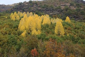 Tunceli'de sonbahar g&uuml;zelliği