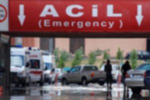 Mantarı denemek i&ccedil;in ağzına s&uuml;rd&uuml;, hastanelik oldu