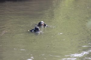 Asi Nehri'ne d&uuml;şen &ccedil;ocuk iki koldan aranıyor