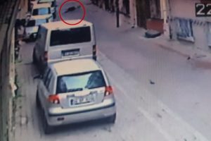 Montunu silkelerken hayatını kaybetti