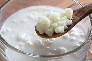 Uzun ve mutlu bir yaşamın sırrı probiyotikler mi?