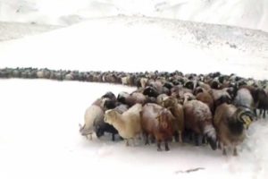 Bu g&ouml;r&uuml;nt&uuml; bug&uuml;n T&uuml;rkiye'de &ccedil;ekildi!