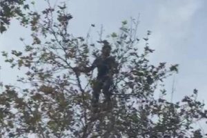 Akılalmaz olay! İntihar i&ccedil;in &ccedil;ıktığı ağacın dalı kırılınca...
