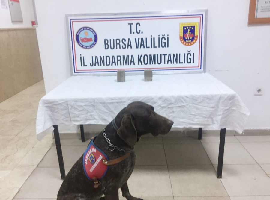 Bursa'da ilk defa plaka esrar ele ge&ccedil;irildi