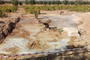 Tarla s&uuml;r&uuml;l&uuml;rken mozaik buldu