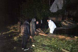 Şırnak yer yerinden oynadı!