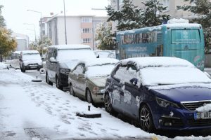 Ardahan beyaza b&uuml;r&uuml;nd&uuml;