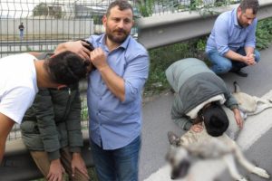 E-5'te y&uuml;rek y&uuml;rek burkan kaza