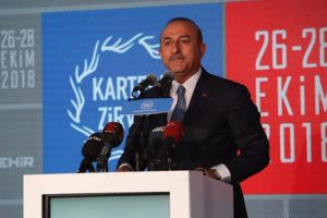 &Ccedil;avuşoğlu: "AB'nin biraz daha kararlı olması lazım"