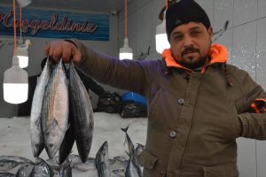 Palamutun fiyatı dudak u&ccedil;uklattı