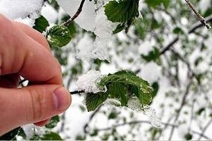Meteoroloji'den kritik uyarı! Bu gece ve...'