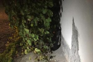 Koyun otlatma kavgası kanlı bitti