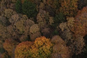 Bursa Uludağ'da iki mevsim bir arada yaşanıyor