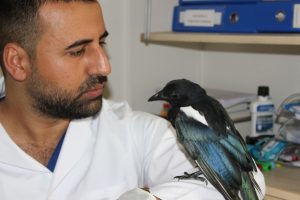 Kendisini tedavi eden veterinerden ayrılamadı