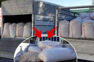 50 ton &ccedil;ekirdeğe el konuldu