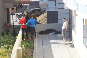 Suriyeli inşaat iş&ccedil;isinin feci &ouml;l&uuml;m&uuml;!