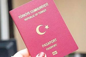T&uuml;rk vatandaşlarına Rusya'ya seyahatlerinde "elektronik vize" &ouml;nerisi