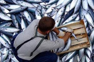 Ve fiyatlar 20 liraya kadar y&uuml;kseldi