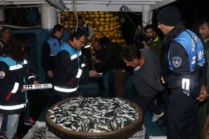Balık&ccedil;ı teknelerine denetim