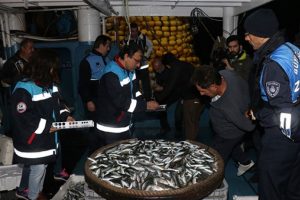 İstanbul'da "balık boyu" denetimi