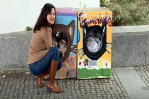 Bozuk &ccedil;amaşır makineleri kedilere yuva oldu