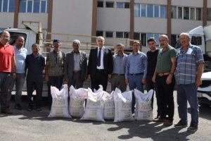 35 &ccedil;ift&ccedil;iye 51 ton sertifikalı tohum dağıtıldı