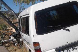 Arıların saldırdığı minib&uuml;s kaza yaptı: 8 yaralı