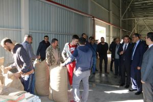 Serbest piyasada fındık 14 lira oldu