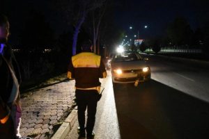 Otomobilin &ccedil;arptığı domuz yavrusu telef oldu