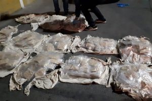 Koyun derilerinden 3 milyon 126 bin uyuşturucu hap &ccedil;ıktı