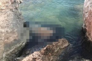Korkun&ccedil; olay! Kayalıkların arasında bulundu