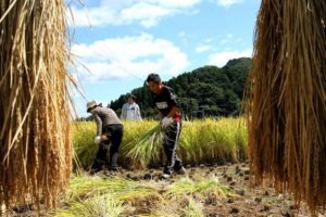Japonya iş&ccedil;i g&ouml;&ccedil;&uuml;n&uuml; kolaylaştırmaya hazırlanıyor