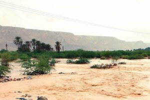 20 yılın en şiddetli yağışları Suudi Arabistan'da 5 can aldı