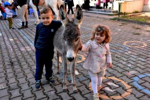 Okulları gezip &ccedil;ocuklara at sevgisi aşılıyorlar
