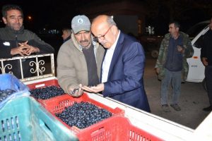 Bursa'nın İznik Belediye Başkanı Sargın zeytin alım merkezlerini ziyaret etti