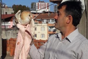 &Ouml;lmek &uuml;zereyken buldu, şaşkına d&ouml;nd&uuml;!