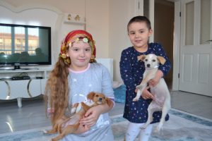 Bursa'da ölüme terk edilen yavru köpeklere çocuklar sahip çıktı