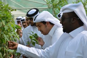 Katar'da Kur'an Botanik Bahçesi kuruldu