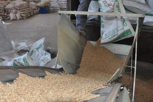 Adıyaman'dan İran'a sertifikalı tohum ihra&ccedil; edildi