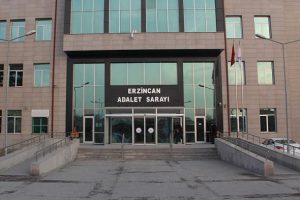 FET&Ouml;'c&uuml;ler eşlerini şiddet mağduru g&ouml;stererek devleti dolandırmış