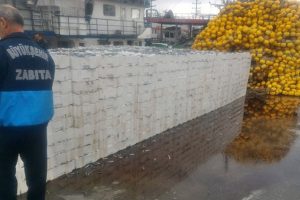 Boy yasağına uymayan 22 ton balığa el konuldu