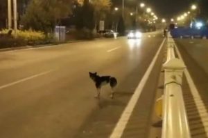 80 g&uuml;nd&uuml;r sahibini bekliyor