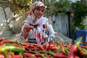 Balkonlarda &ccedil;atılarda kurutuyorlar 60 kente satıyorlar