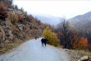Hizan'ın taş evleri ve doğası resmediliyor