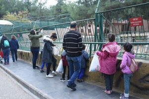 Gaziantep Hayvanat Bah&ccedil;esi'nde ziyaret&ccedil;i rekoru