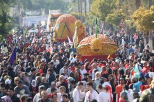 Festival 70 ton meyveyle renklendi