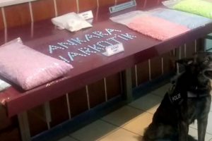 Ankara'da 1 milyon 700 bin liralık operasyon!